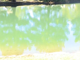 Frisky brunette young Carlie is playing with love beads